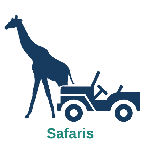 safaris (2)